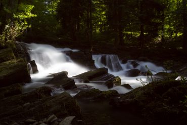 Selkefall