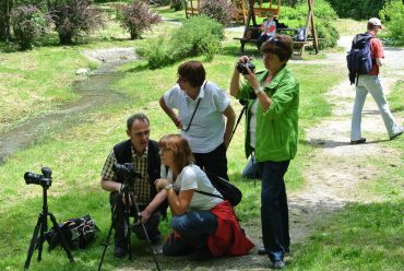 Fotowanderung im Harz © U. Bornemann