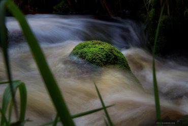 Fotokurs am Bodefall