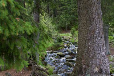 Fotokurs am Bodefall