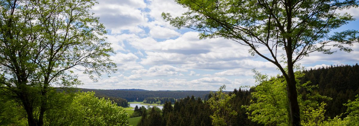 Landschaftsfotografie am Stausee Mandelholz