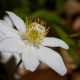 Fotokurse in der Natur - Foto-Wandern.com