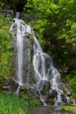 Foto-Wandern.com - Mandelholz