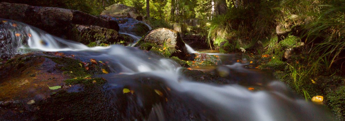 Fotokurs am Bodefall