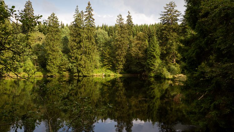 Fotowanderung auf dem Naturmythenpfad