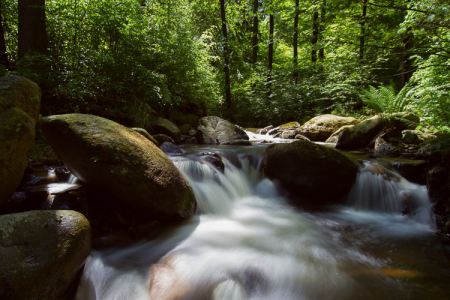 Langzeitbelichtung im Harz – Ilsetal