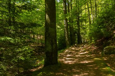 Fotokurs Landschaftsfotografie im Ilsetal