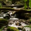 Fotokurs Landschaftsfotografie im Ilsetal