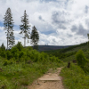 Fotokurs Landschaftsfotografie im Ilsetal