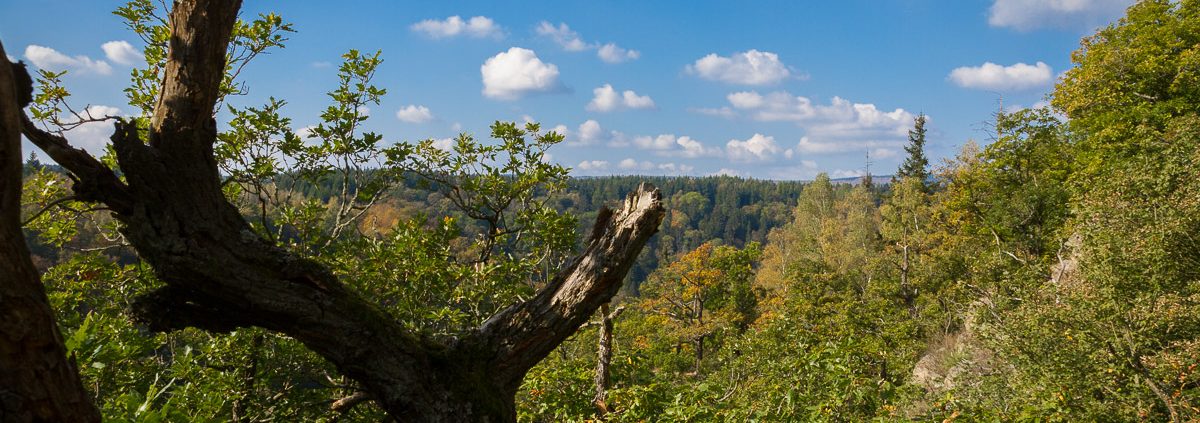 Fotowandern auf dem Selketal-Stieg