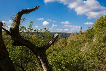 Fotowandern auf dem Selketal-Stieg