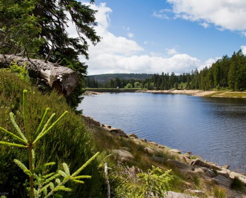 Fotokurse im Harz