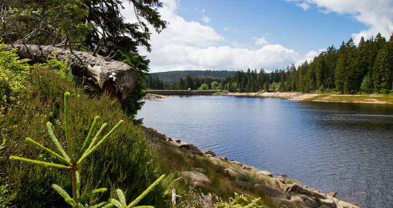 Fotokurse im Harz