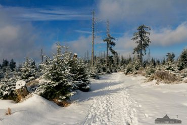 Winterurlaub mit Fotokurs im Harz Newsletter Foto-Wandern.com