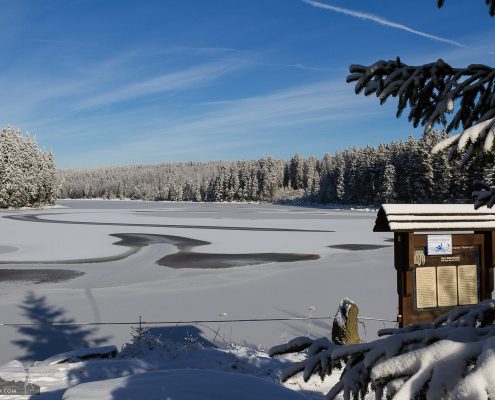 Oderteich