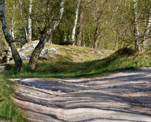 Fotowandern im Gispkarstgebiet