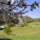 Frühling in der Rüdigsdorfer Schweiz