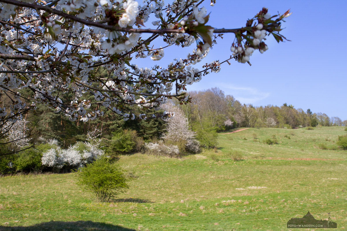 Frühling in der Rüdigsdorfer Schweiz