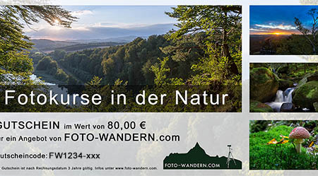 Download-Gutschein