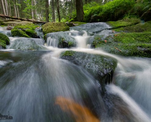 Fotokurs Langzeitbelichtung im Nationalpark Harz