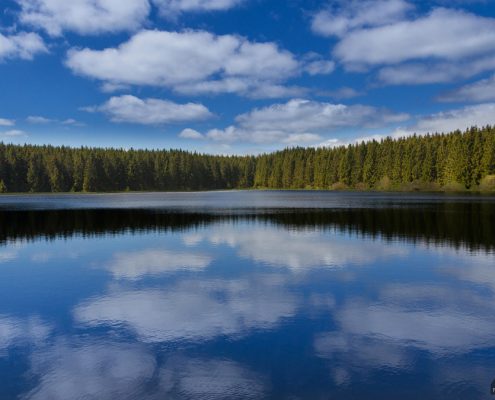 Jägersbleeker Teich © Andreas Levi-Foto-Wandern.com