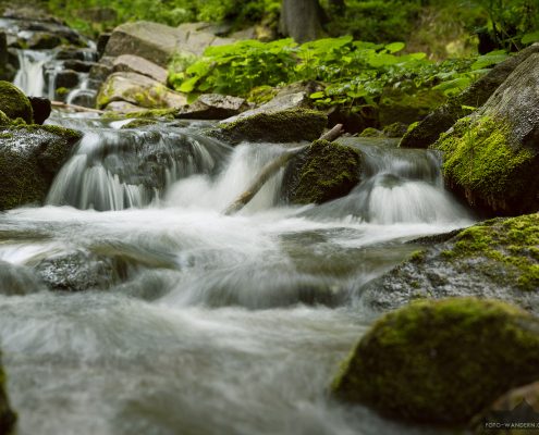 an der Bode - Foto-Wandern.com © Andreas Levi