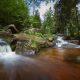 Fotokurs Langzeitbelichtung im Nationalpark Harz © Andreas Levi - Foto-Wandern.com