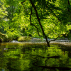 Foto-Wandern.com im Bodetal © Andreas Levi