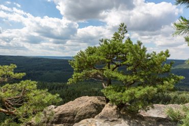 Fotokurs auf dem Pfaffenstein