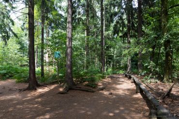 Fotokurs auf dem Pfaffenstein
