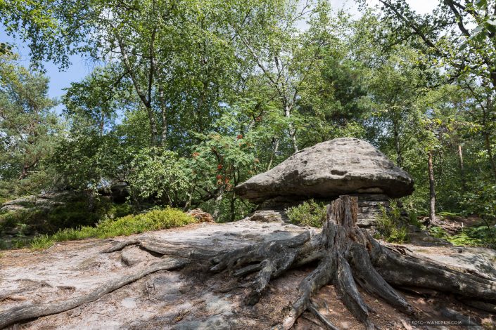Fotokurs auf dem Pfaffenstein Fotokurs auf dem Pfaffenstein