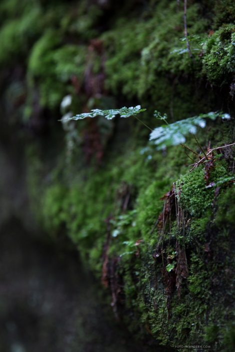 Fotoworkshop an der Bastei