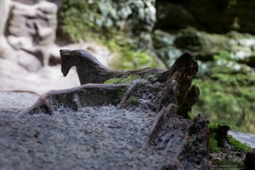 Fotoworkshop an der Bastei