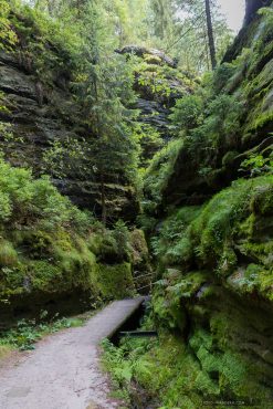 Fotoworkshop an der Bastei