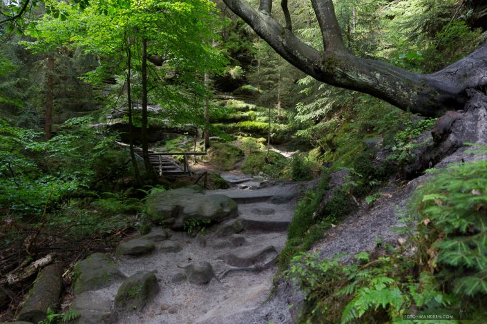 Fotoworkshop an der Bastei