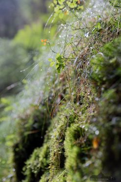 Fotoworkshop an der Bastei