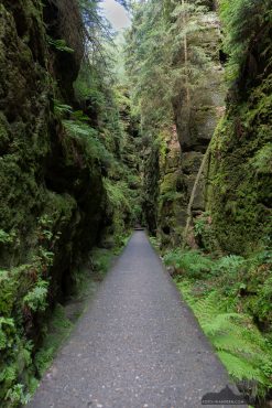 Fotoworkshop an der Bastei