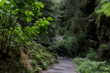 Fotoworkshop an der Bastei - Schwedenlöcher