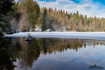 Harz-Fotokurse im Winter - Silberteich