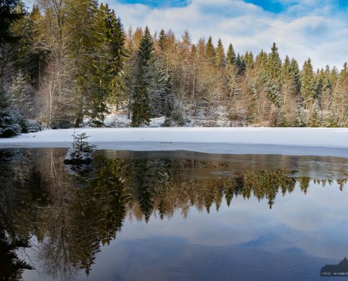 Harz-Fotokurse im Winter - Silberteich