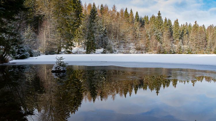 Harz-Fotokurse im Winter - Silberteich