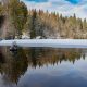 Harz-Fotokurse im Winter - Silberteich
