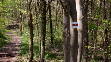 Fotowanderung zum Bauerngraben