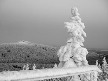 Brockenblick vom Achtermann © Hartmut Schulz