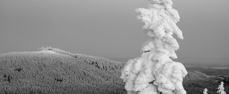 Brockenblick vom Achtermann © Hartmut Schulz