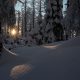 Sonnenstern im Winter-Märchenwald Harz
