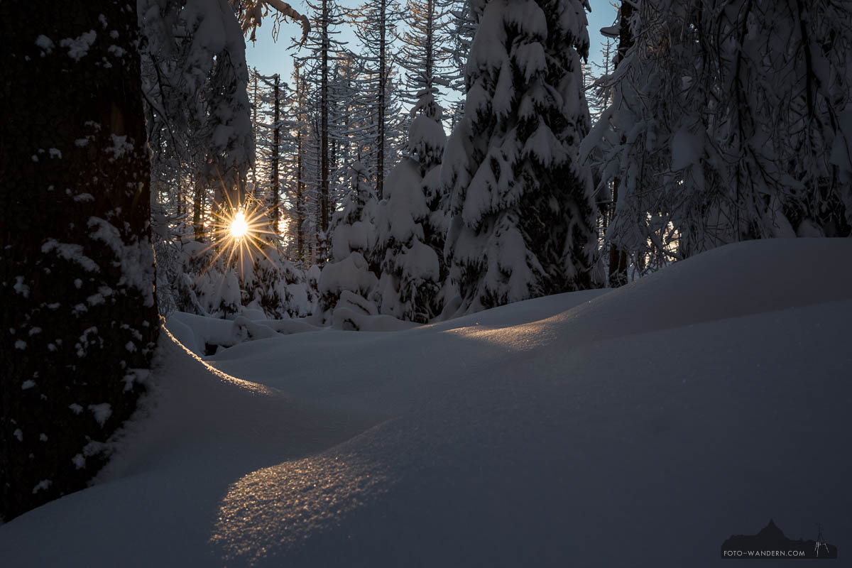 Sonnenstern im Winter-Märchenwald Harz