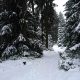 Einzelcoaching im Oberharz mit Foto-Wandern.com