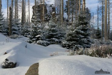 Winter-Fotokurs im Harz