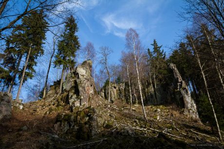 Fotowandern im Harz mit Foto-Wandern.com - Steinmühlental